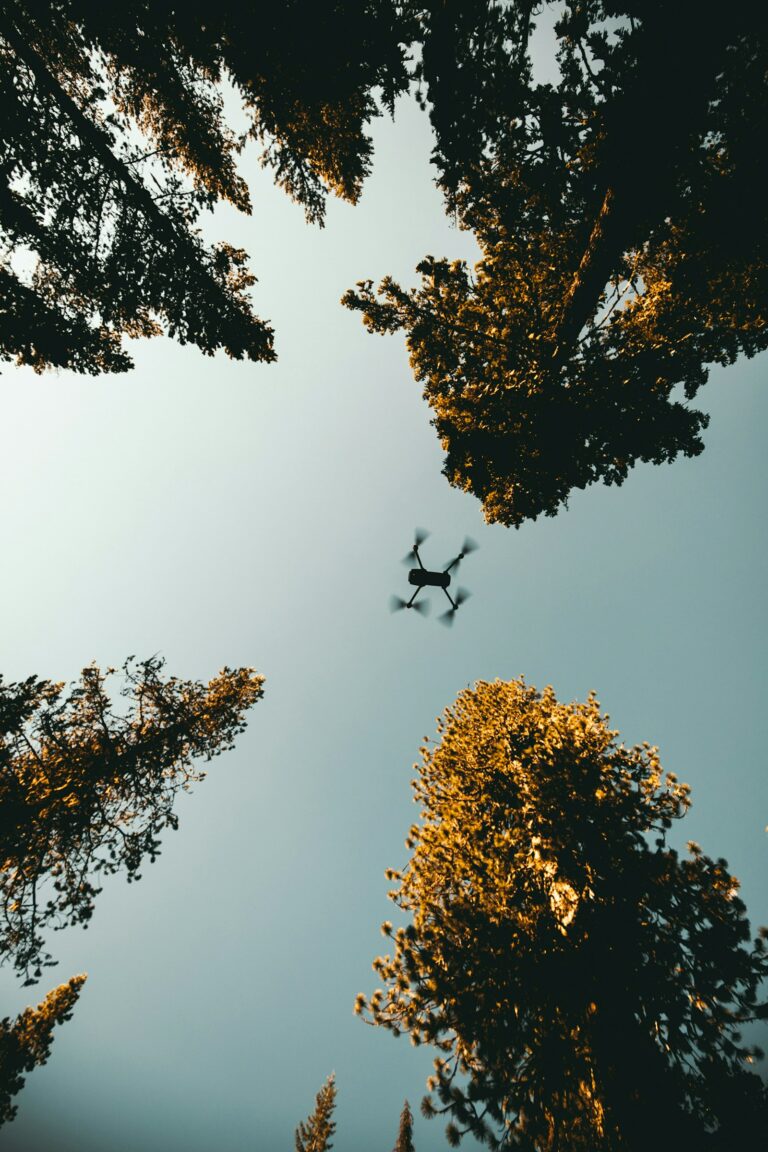 Drone FPV en vol près des arbres pour la vidéo immersive